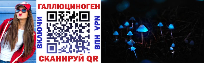 Купить  Прокопьевск  Псилоцибиновые грибы Cubensis 